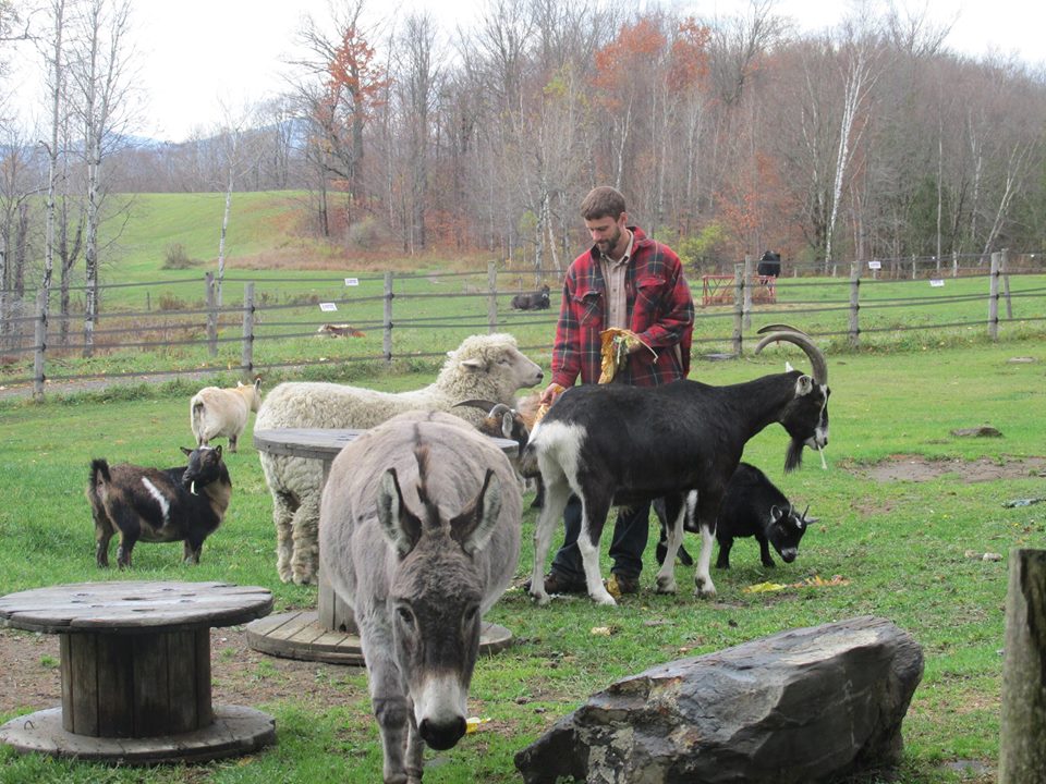 Farm Sanctuary Animals